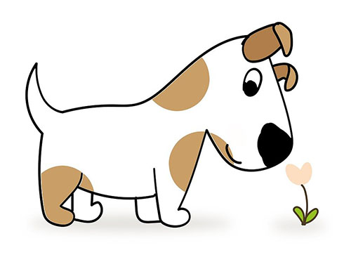 dog