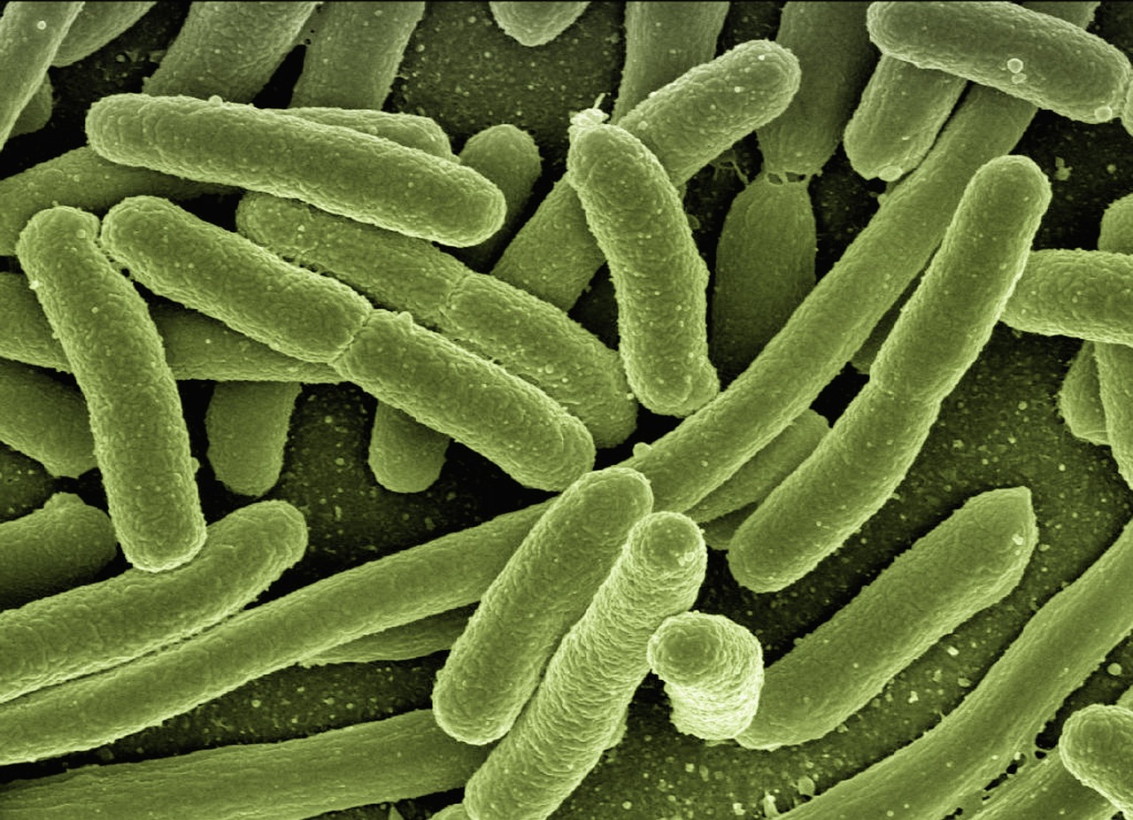 pathogenic