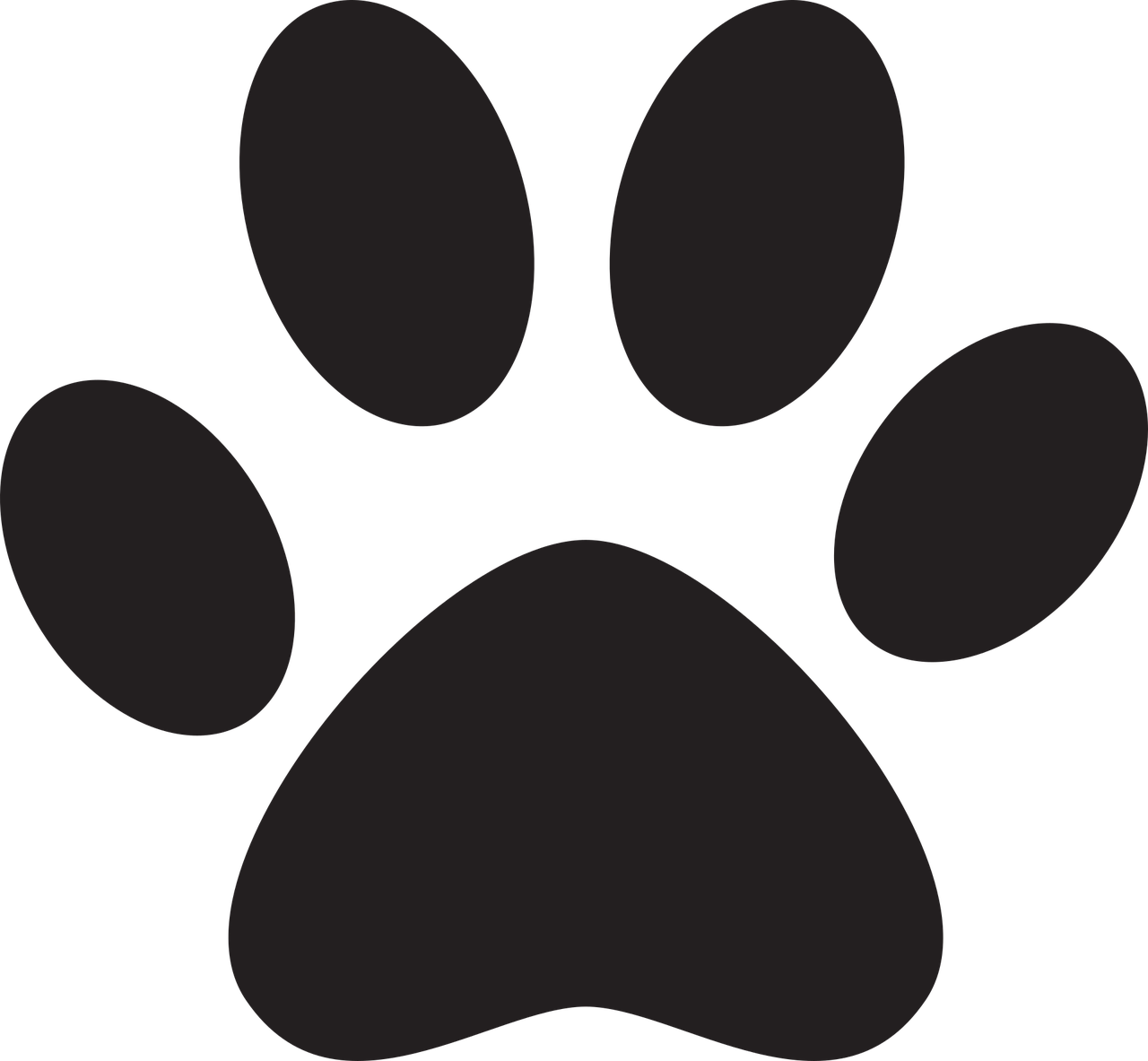 dog_foot